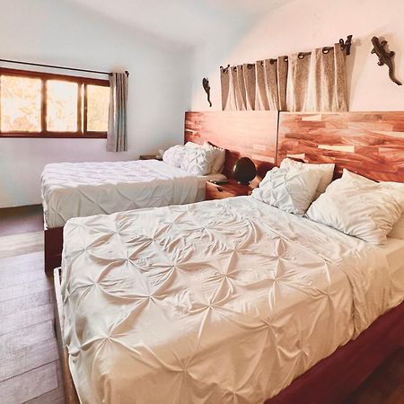 Villa San Juan Bed&Breakfast ヌエボ・バジャルタ エクステリア 写真